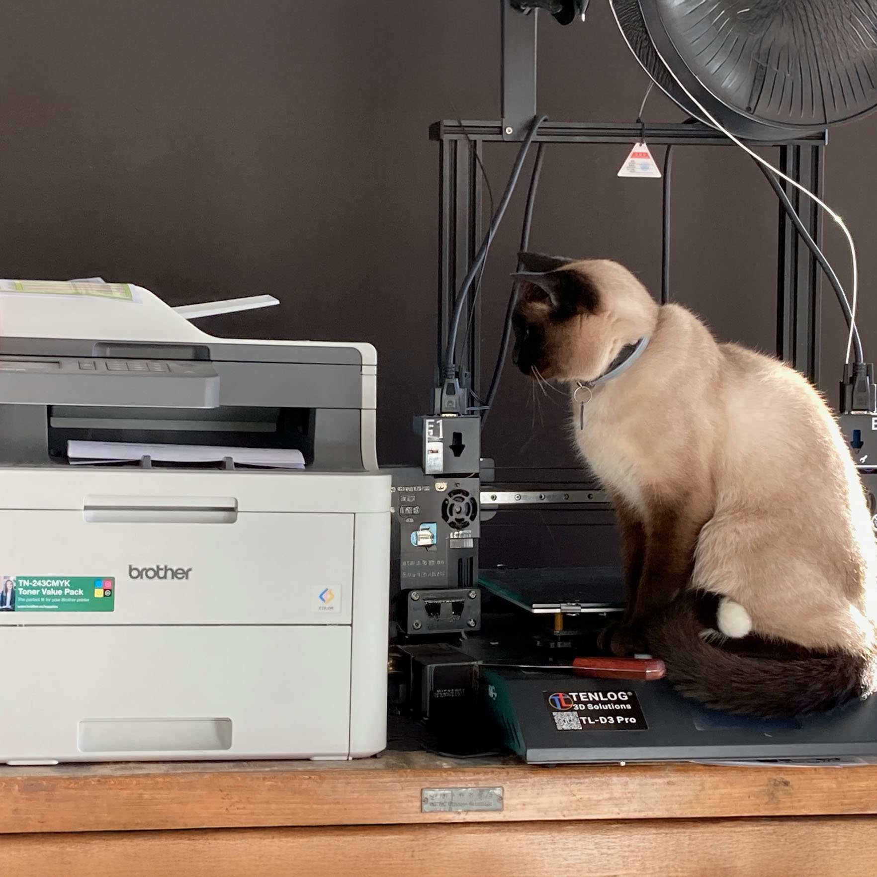 Kat die naast een printer en 3D-printer toekijkt